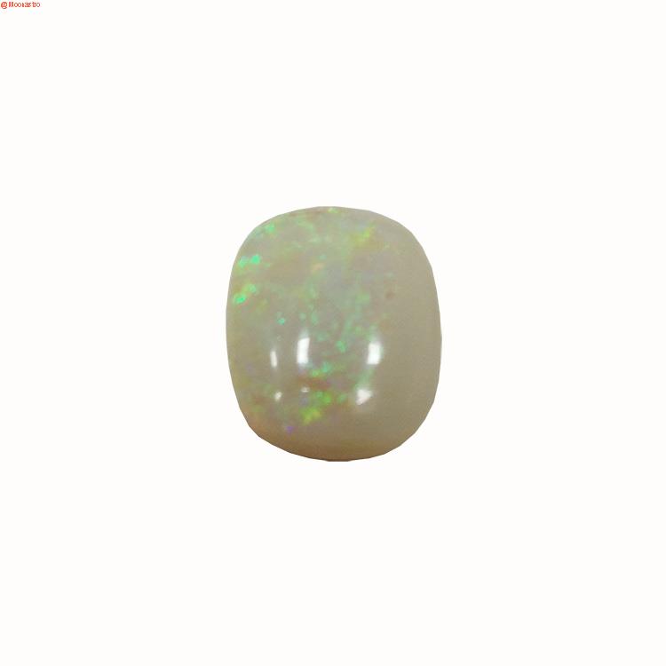 opal premium